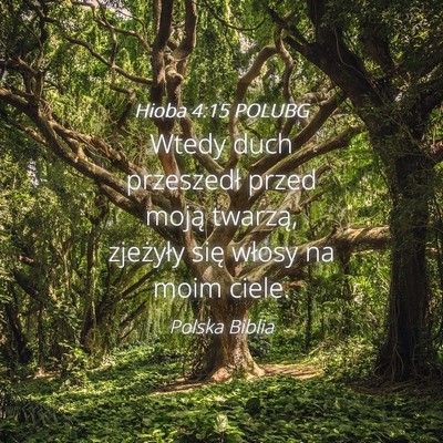 Picture 04 - Hioba 4:15 POLUBG - Wtedy duch przeszedł przed moją twarzą, - Bible Verse Picture
