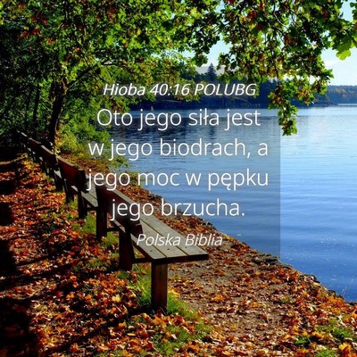 Picture 04 - Hioba 40:16 POLUBG - Oto jego siła jest w jego biodrach, a jego moc w - Bible Verse Picture