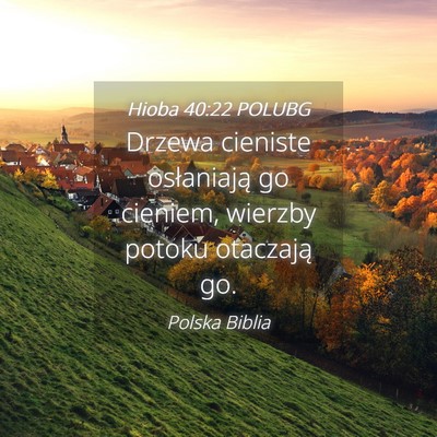 Picture 04 - Hioba 40:22 POLUBG - Drzewa cieniste osłaniają go cieniem, wierzby - Bible Verse Picture