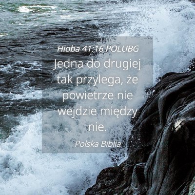 Picture 04 - Hioba 41:16 POLUBG - Jedna do drugiej tak przylega, że powietrze nie - Bible Verse Picture