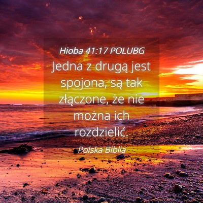 Picture 04 - Hioba 41:17 POLUBG - Jedna z drugą jest spojona, są tak złączone, - Bible Verse Picture