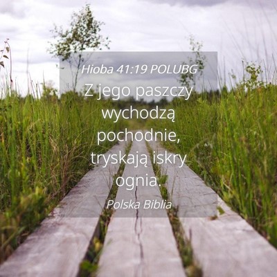 Picture 04 - Hioba 41:19 POLUBG - Z jego paszczy wychodzą pochodnie, tryskają - Bible Verse Picture