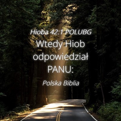 Picture 04 - Hioba 42:1 POLUBG - Wtedy Hiob odpowiedział - Bible Verse Picture