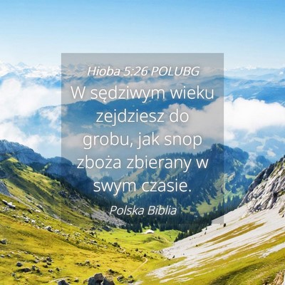 Picture 04 - Hioba 5:26 POLUBG - W sędziwym wieku zejdziesz do grobu, jak snop - Bible Verse Picture