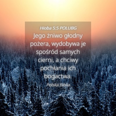 Picture 04 - Hioba 5:5 POLUBG - Jego żniwo głodny pożera, wydobywa je - Bible Verse Picture