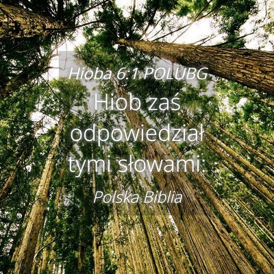 Picture 04 - Hioba 6:1 POLUBG - Hiob zaś odpowiedział tymi - Bible Verse Picture