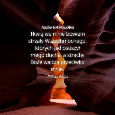 Picture 04 - Hioba 6:4 POLUBG - Tkwią we mnie bowiem strzały Wszechmocnego, - Bible Verse Picture