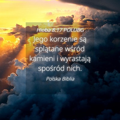 Picture 04 - Hioba 8:17 POLUBG - Jego korzenie są splątane wśród kamieni i - Bible Verse Picture