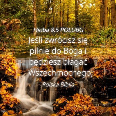 Picture 04 - Hioba 8:5 POLUBG - Jeśli zwrócisz się pilnie do Boga i będziesz - Bible Verse Picture