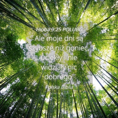 Picture 04 - Hioba 9:25 POLUBG - Ale moje dni są szybsze niż goniec, uciekły i - Bible Verse Picture