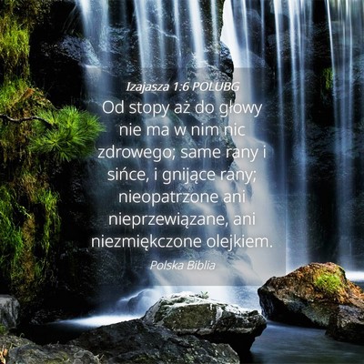 Picture 04 - Izajasza 1:6 POLUBG - Od stopy aż do głowy nie ma w nim nic zdrowego; - Bible Verse Picture