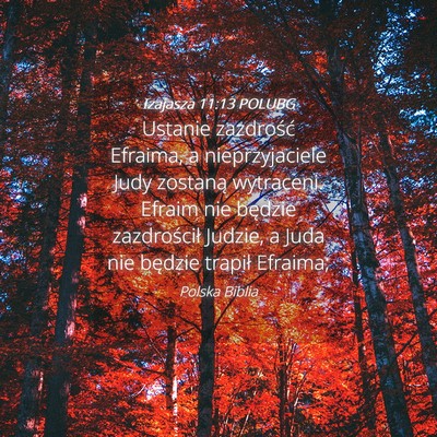 Picture 04 - Izajasza 11:13 POLUBG - Ustanie zazdrość Efraima, a nieprzyjaciele Judy - Bible Verse Picture