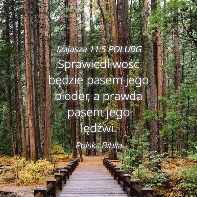 Picture 04 - Izajasza 11:5 POLUBG - Sprawiedliwość będzie pasem jego bioder, a - Bible Verse Picture