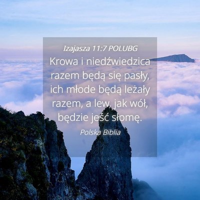 Picture 04 - Izajasza 11:7 POLUBG - Krowa i niedźwiedzica razem będą się pasły, - Bible Verse Picture