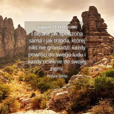 Picture 04 - Izajasza 13:14 POLUBG - I będzie jak spłoszona sarna i jak trzoda, - Bible Verse Picture
