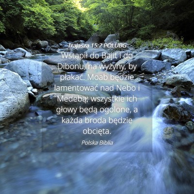 Picture 04 - Izajasza 15:2 POLUBG - Wstąpił do Bajit i do Dibonu, na wyżyny, by - Bible Verse Picture