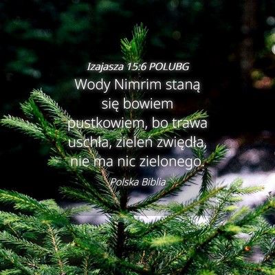 Picture 04 - Izajasza 15:6 POLUBG - Wody Nimrim staną się bowiem pustkowiem, bo - Bible Verse Picture