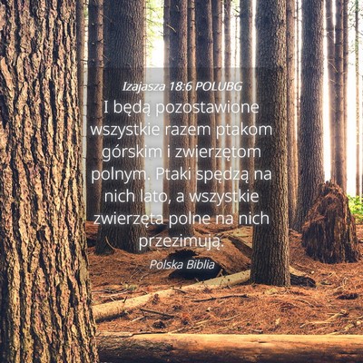 Picture 04 - Izajasza 18:6 POLUBG - I będą pozostawione wszystkie razem ptakom - Bible Verse Picture