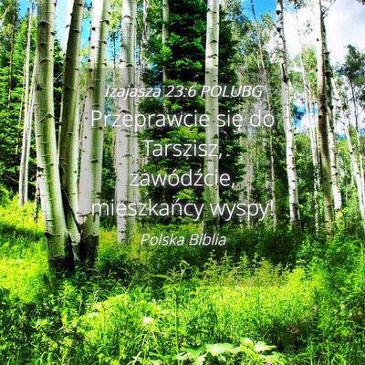 Picture 04 - Izajasza 23:6 POLUBG - Przeprawcie się do Tarszisz, zawódźcie, - Bible Verse Picture