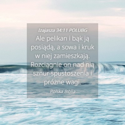 Picture 04 - Izajasza 34:11 POLUBG - Ale pelikan i bąk ją posiądą, a sowa i kruk w - Bible Verse Picture