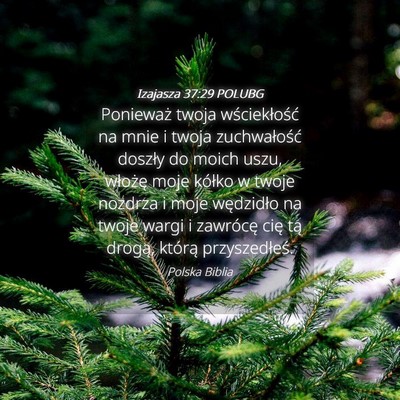Picture 04 - Izajasza 37:29 POLUBG - Ponieważ twoja wściekłość na mnie i twoja - Bible Verse Picture