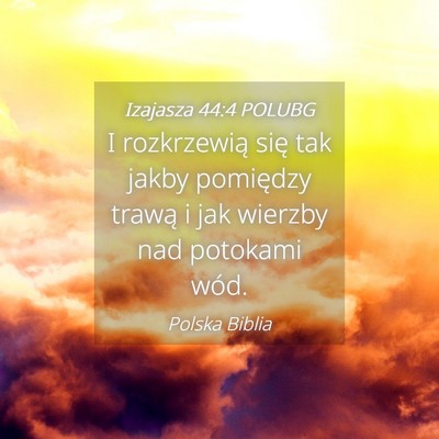 Picture 04 - Izajasza 44:4 POLUBG - I rozkrzewią się tak jakby pomiędzy trawą i - Bible Verse Picture