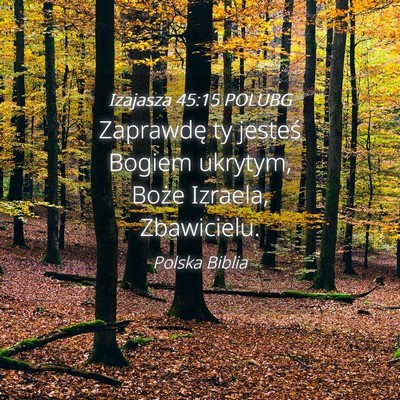 Picture 04 - Izajasza 45:15 POLUBG - Zaprawdę ty jesteś Bogiem ukrytym, Boże - Bible Verse Picture