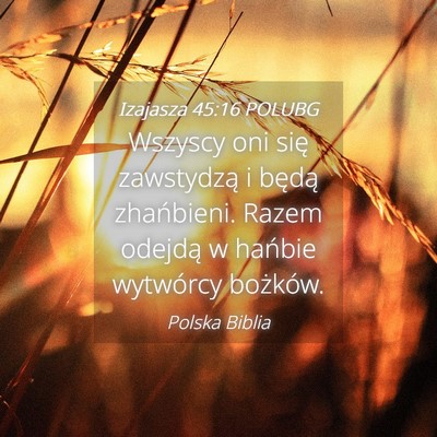 Picture 04 - Izajasza 45:16 POLUBG - Wszyscy oni się zawstydzą i będą zhańbieni. - Bible Verse Picture