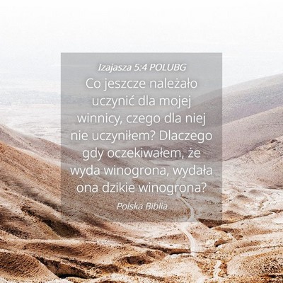 Picture 04 - Izajasza 5:4 POLUBG - Co jeszcze należało uczynić dla mojej winnicy, - Bible Verse Picture