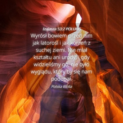 Picture 04 - Izajasza 53:2 POLUBG - Wyrósł bowiem przed nim jak latorośl i jak - Bible Verse Picture