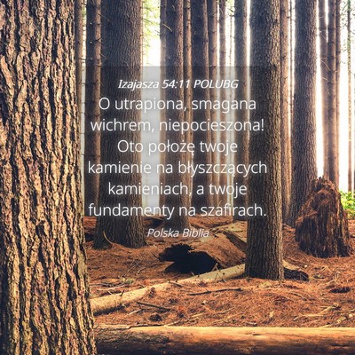 Picture 04 - Izajasza 54:11 POLUBG - O utrapiona, smagana wichrem, niepocieszona! Oto - Bible Verse Picture