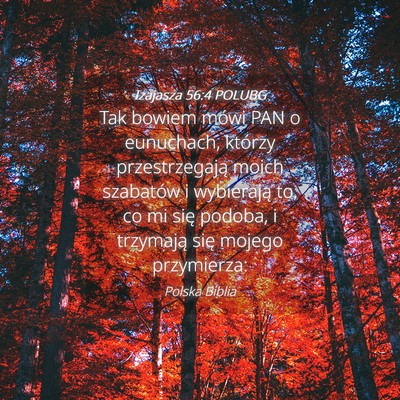 Picture 04 - Izajasza 56:4 POLUBG - Tak bowiem mówi PAN o eunuchach, którzy - Bible Verse Picture