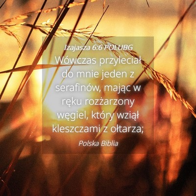 Picture 04 - Izajasza 6:6 POLUBG - Wówczas przyleciał do mnie jeden z serafinów, - Bible Verse Picture