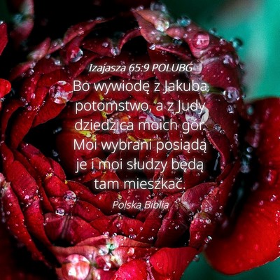 Picture 04 - Izajasza 65:9 POLUBG - Bo wywiodę z Jakuba potomstwo, a z Judy - Bible Verse Picture