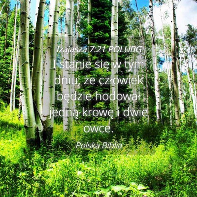 Picture 04 - Izajasza 7:21 POLUBG - I stanie się w tym dniu, że człowiek będzie - Bible Verse Picture