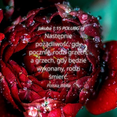 Picture 04 - Jakuba 1:15 POLUBG - Następnie pożądliwość, gdy pocznie, rodzi - Bible Verse Picture