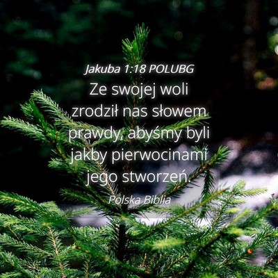 Picture 04 - Jakuba 1:18 POLUBG - Ze swojej woli zrodził nas słowem prawdy, - Bible Verse Picture