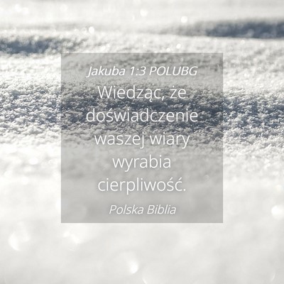 Picture 04 - Jakuba 1:3 POLUBG - Wiedząc, że doświadczenie waszej wiary wyrabia - Bible Verse Picture