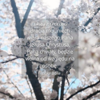 Picture 04 - Jakuba 2:1 POLUBG - Bracia moi, niech wiara naszego Pana Jezusa - Bible Verse Picture