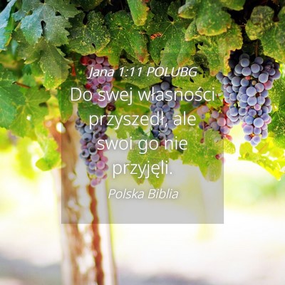 Picture 04 - Jana 1:11 POLUBG - Do swej własności przyszedł, ale swoi go nie - Bible Verse Picture