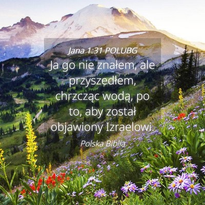 Picture 04 - Jana 1:31 POLUBG - Ja go nie znałem, ale przyszedłem, chrzcząc - Bible Verse Picture