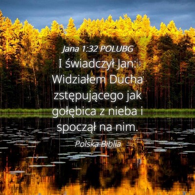 Picture 04 - Jana 1:32 POLUBG - I świadczył Jan: Widziałem Ducha - Bible Verse Picture