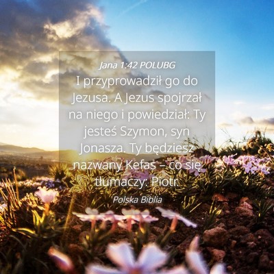 Picture 04 - Jana 1:42 POLUBG - I przyprowadził go do Jezusa. A Jezus spojrzał - Bible Verse Picture