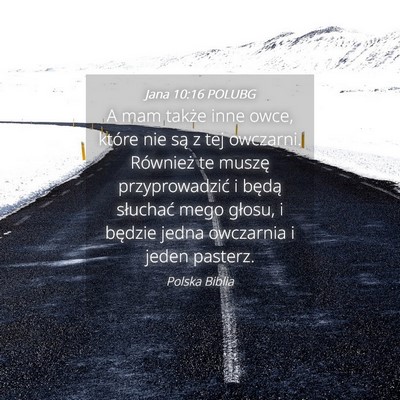 Picture 04 - Jana 10:16 POLUBG - A mam także inne owce, które nie są z tej - Bible Verse Picture
