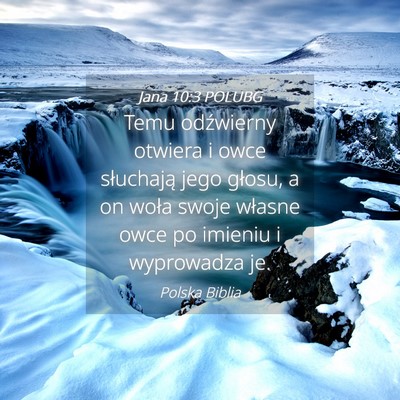 Picture 04 - Jana 10:3 POLUBG - Temu odźwierny otwiera i owce słuchają jego - Bible Verse Picture