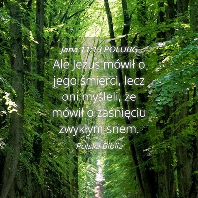 Picture 04 - Jana 11:13 POLUBG - Ale Jezus mówił o jego śmierci, lecz oni - Bible Verse Picture