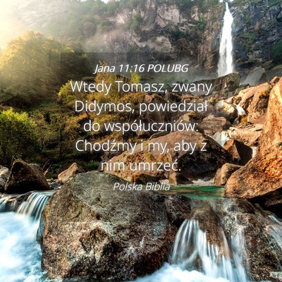 Picture 04 - Jana 11:16 POLUBG - Wtedy Tomasz, zwany Didymos, powiedział do - Bible Verse Picture