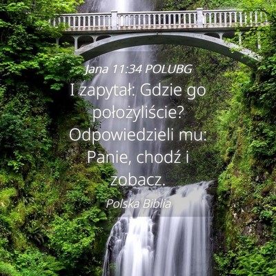 Picture 04 - Jana 11:34 POLUBG - I zapytał: Gdzie go położyliście? - Bible Verse Picture