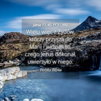 Picture 04 - Jana 11:45 POLUBG - Wielu więc z Żydów, którzy przyszli do Marii - Bible Verse Picture