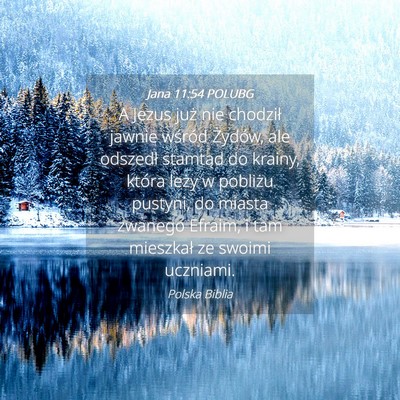 Picture 04 - Jana 11:54 POLUBG - A Jezus już nie chodził jawnie wśród Żydów, - Bible Verse Picture
